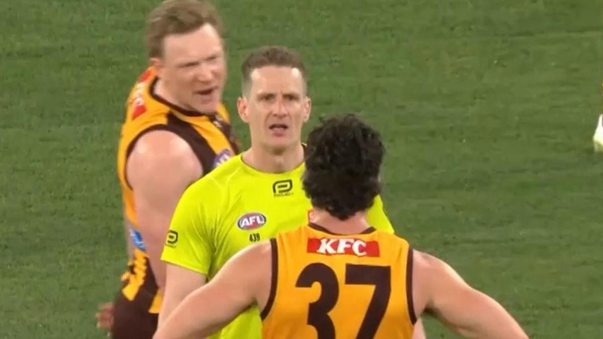AFL umpire Hayden Meyer alleges intimidation by Hawthorn players after recent match