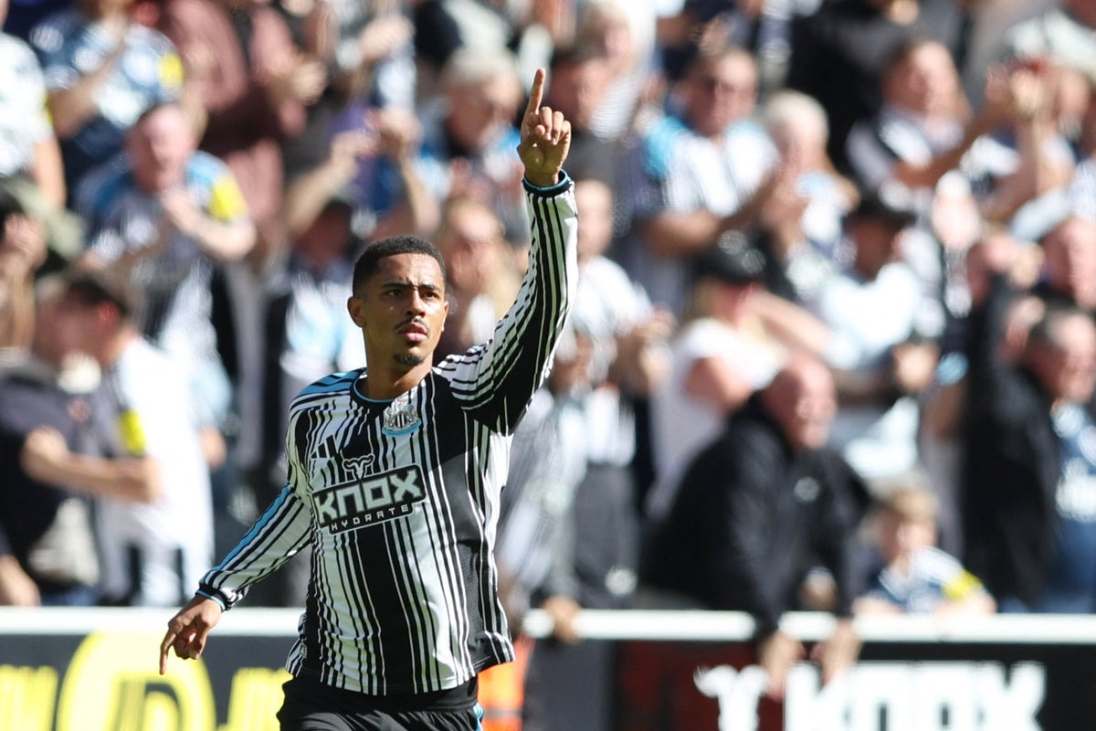 Newcastle United and Bournemouth Share the Spoils in a Thrilling 2-2 Premier League Draw